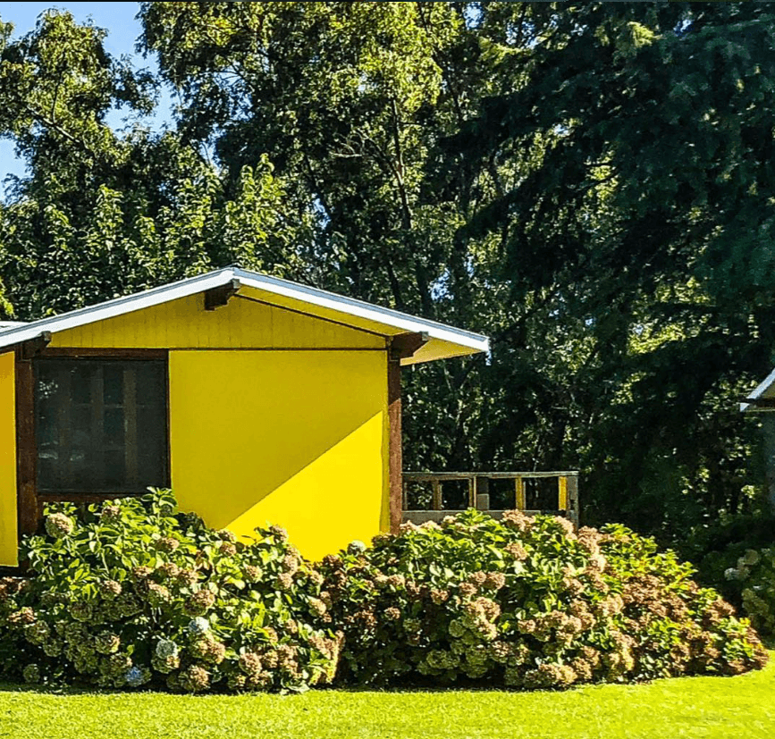 Exterior de una cabaña amarilla entre hortensias