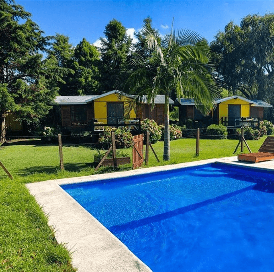 Pileta con palmera y cabañas de fondo