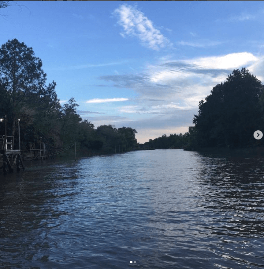 El arroyo al atardecer entre la vegetación del Delta