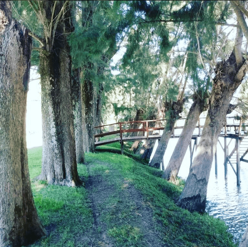Senderos naturales